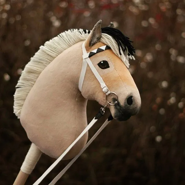 Hobby Horse — Akademia Radości Jarocin